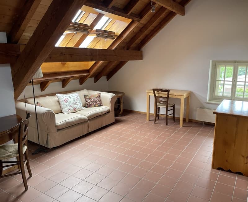 Very beautiful rental house from the 30s, 3 apartments, 582 m2 land (2)