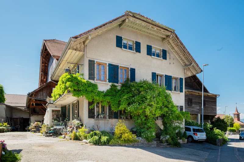 EXCLUSIVITY: Old farm with potential for creating several apartments (1)