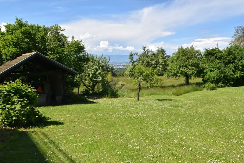 A house to renovate with a 2nd buildable plot (2)