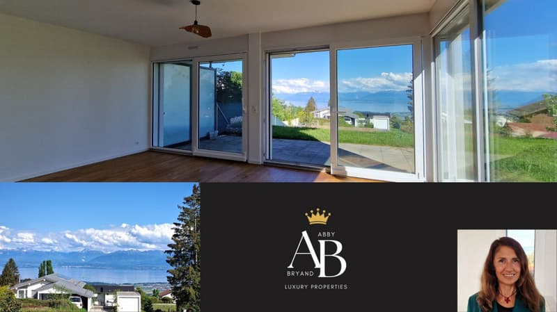 En exclusivité: Villa contemporaine et familiale à 12 minutes de Nyon (1)