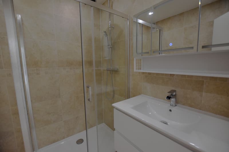 Charmanter Apartment komplett renoviert im Zentrum von Veigy-Foncenex (8)