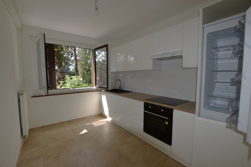 Charmanter Apartment komplett renoviert im Zentrum von Veigy-Foncenex (3)