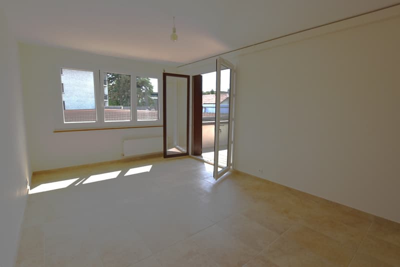 Charmanter Apartment komplett renoviert im Zentrum von Veigy-Foncenex (4)