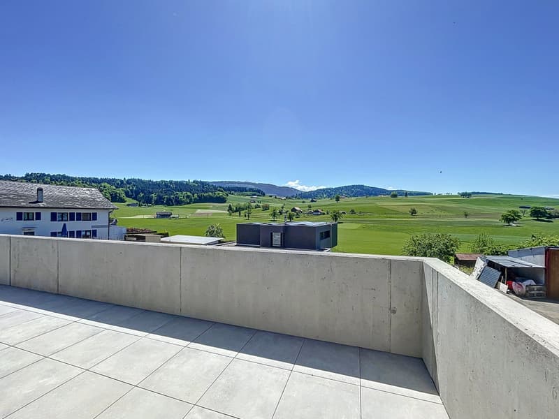 Villa neuve avec unité indépendante et vue dégagée sur les Préalpes - Senèdes (4)