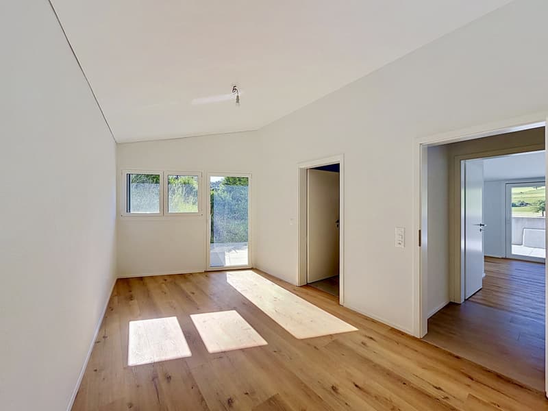Villa neuve avec unité indépendante et vue dégagée sur les Préalpes - Senèdes (6)