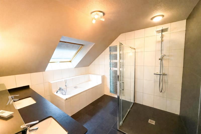 In Frankreich, Village-Neuf: Die 4-Zimmer-Premium-Wohnung mit einzigartigen Leistungen (5)
