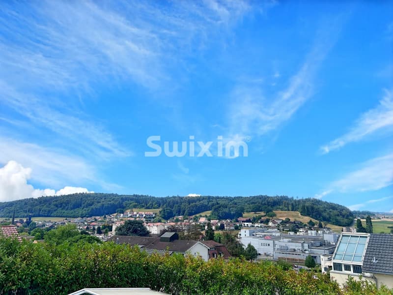 Exclusivity! Single-family house in a residential area! (1)