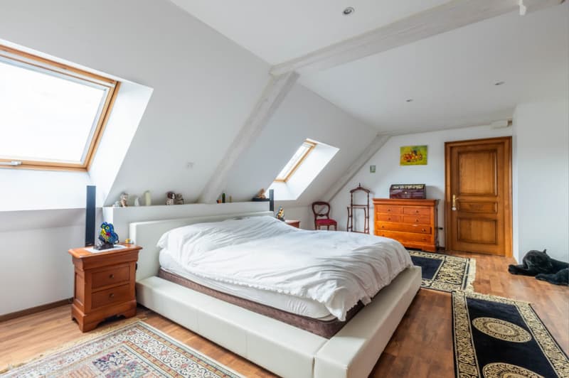 Herzoglicher Tipp für dieses außergewöhnliche Haus in Hagenbach, Frankreich! (7)