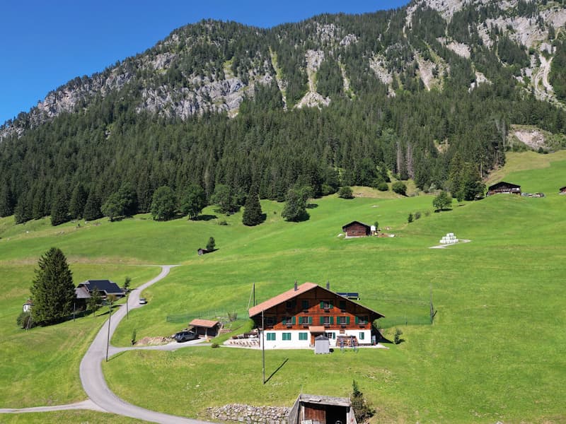 L'ETIVAZ - SUPERBO CHALET DI TRE APPARTAMENTI (1)