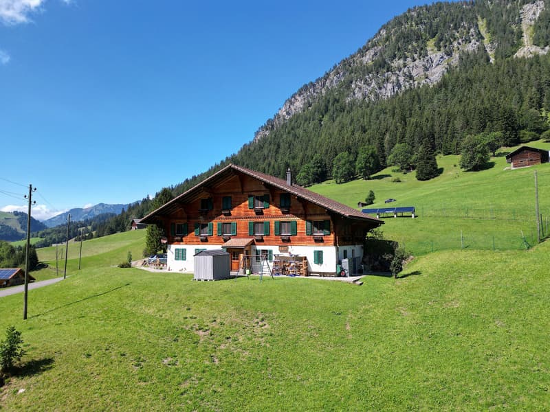 L'ETIVAZ - SUPERBO CHALET DI TRE APPARTAMENTI (2)