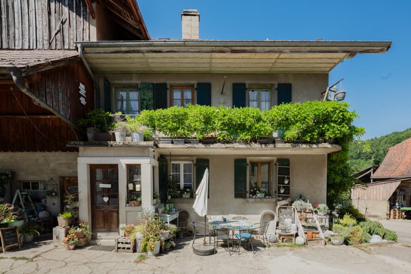 EXKLUSIVITÄT: Alte Farm mit Potenzial für die Schaffung mehrerer Wohnungen (4)