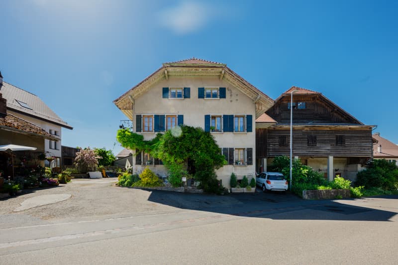 EXKLUSIVITÄT: Alte Farm mit Potenzial für die Schaffung mehrerer Wohnungen (3)