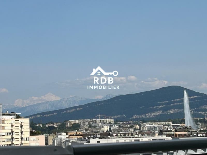 Appartamento di 4,5 locali al 6° piano situato a Ginevra 1202 (1)