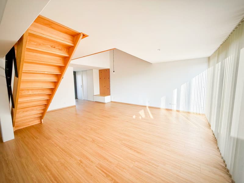 Loft-Penthouse et son Rooftop à 360, à la frontière en France (6)