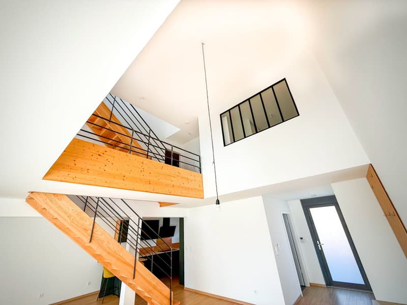 Loft-Penthouse et son Rooftop à 360, à la frontière en France (5)