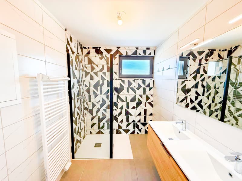 Loft-Penthouse et son Rooftop à 360, à la frontière en France (10)
