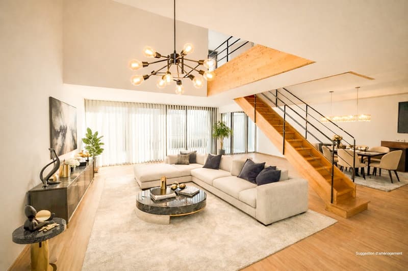 Loft-Penthouse et son Rooftop à 360, à la frontière en France (2)