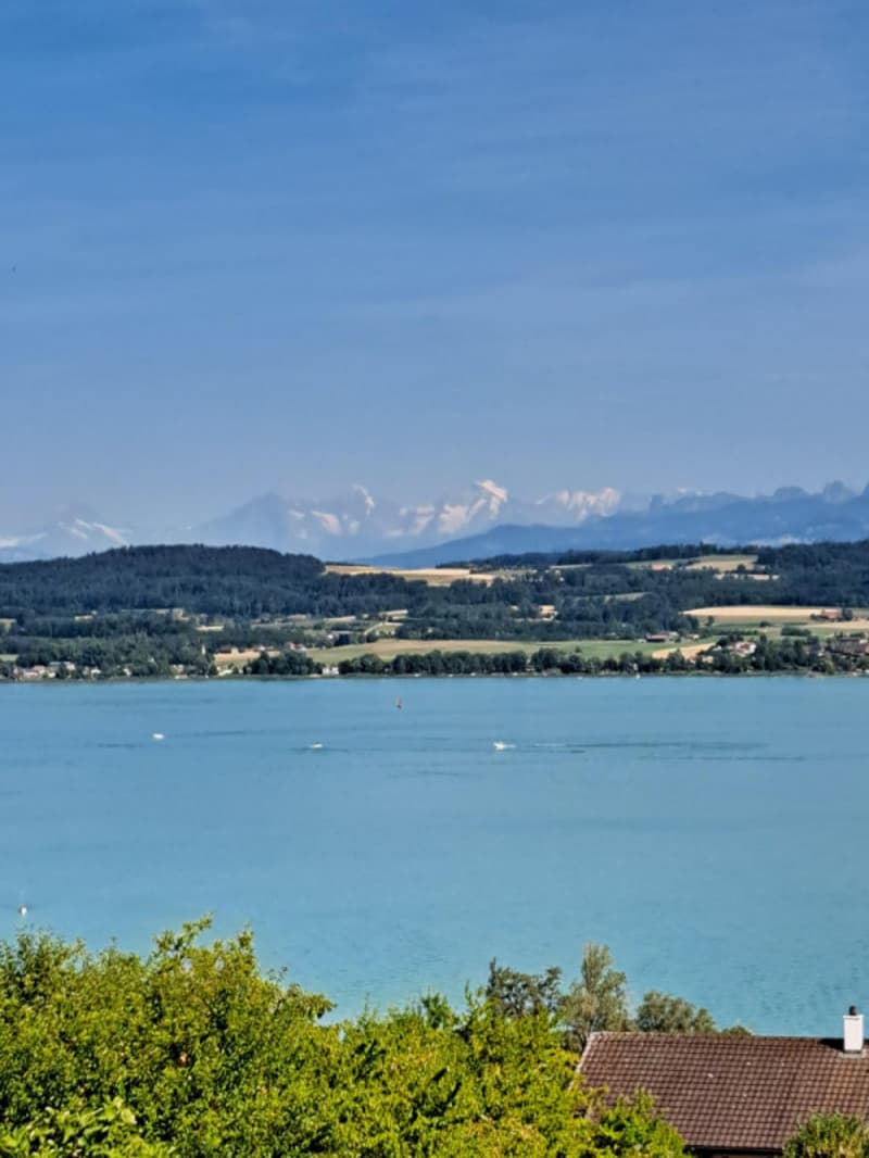 Duplex d'eccezione con vista splendida sul lago di Morat e le Alpi (1)