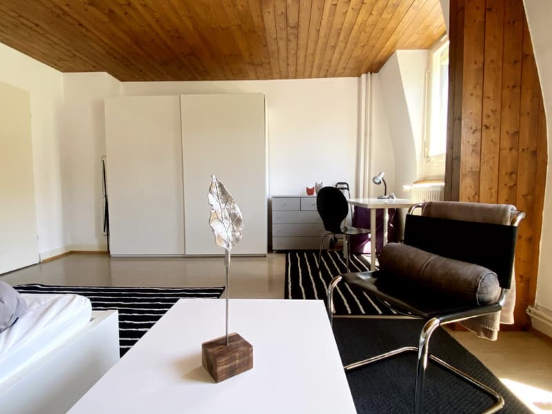 Extra grosses, möbliertes WG-Zimmer nahe Rhein - Top Lage! (9)