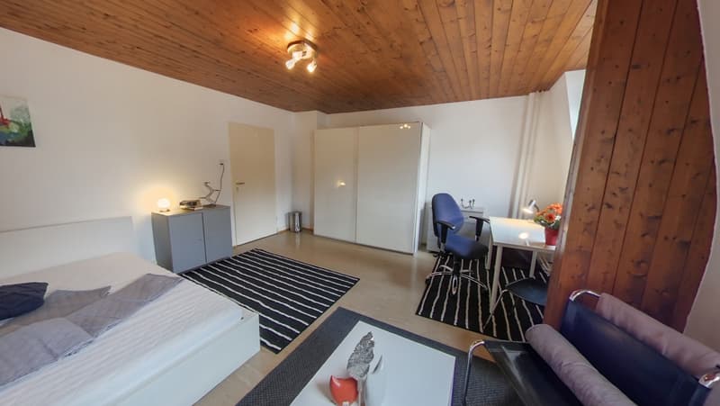 Extra grosses, möbliertes WG-Zimmer nahe Rhein - Top Lage! (2)
