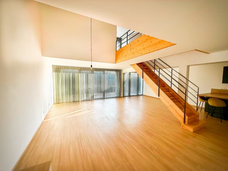Loft-Penthouse et son Rooftop à 360, à la frontière en France (3)