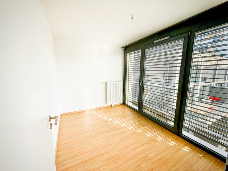 Loft-Penthouse et son Rooftop à 360, à la frontière en France (9)
