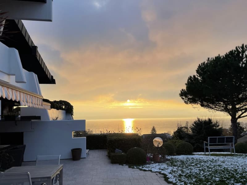 OFF-MARKET Magnifique villa de 10 pièces aux portes de Genève (1)