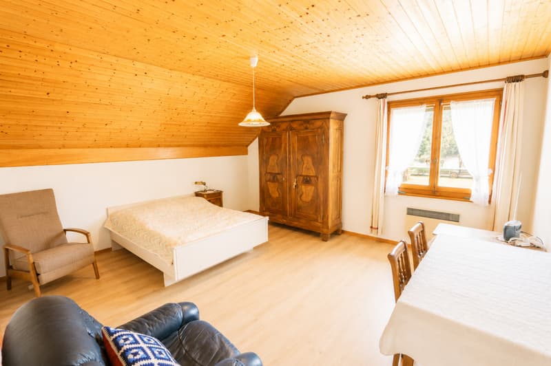 Villa individuelle de 6.5 pièces avec grand jardin de 1'618 m2 (10)