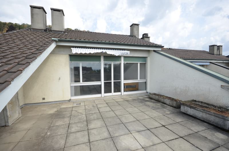Magnifique duplex en attique (8)