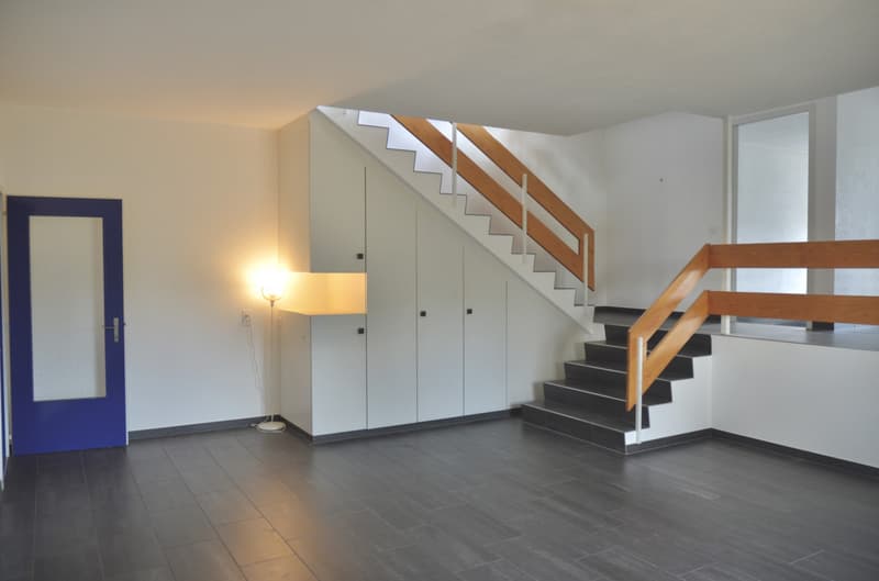 Magnifique duplex en attique (2)