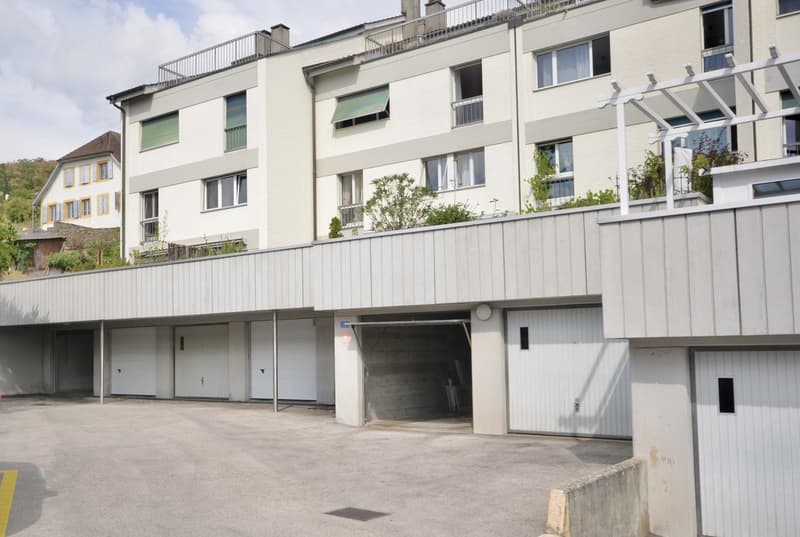 Magnifique duplex en attique (1)