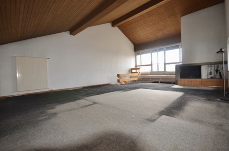 Magnifique duplex en attique (5)