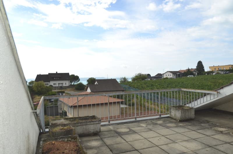 Magnifique duplex en attique (10)