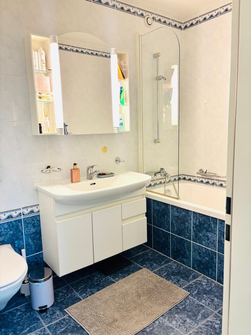 Très beau 5.5 pièces entièrement meublé avec balcon au Petit-Saconnex/Genève (10)