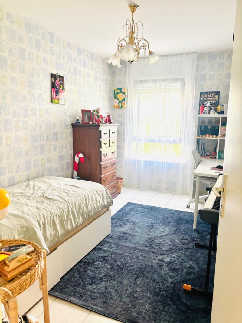 Très beau 5.5 pièces entièrement meublé avec balcon au Petit-Saconnex/Genève (9)