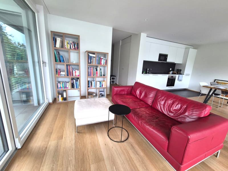 Magnifique 4 pièces neuf avec vaste terrasse zone résidentielle Cologny/Gradelle (3)
