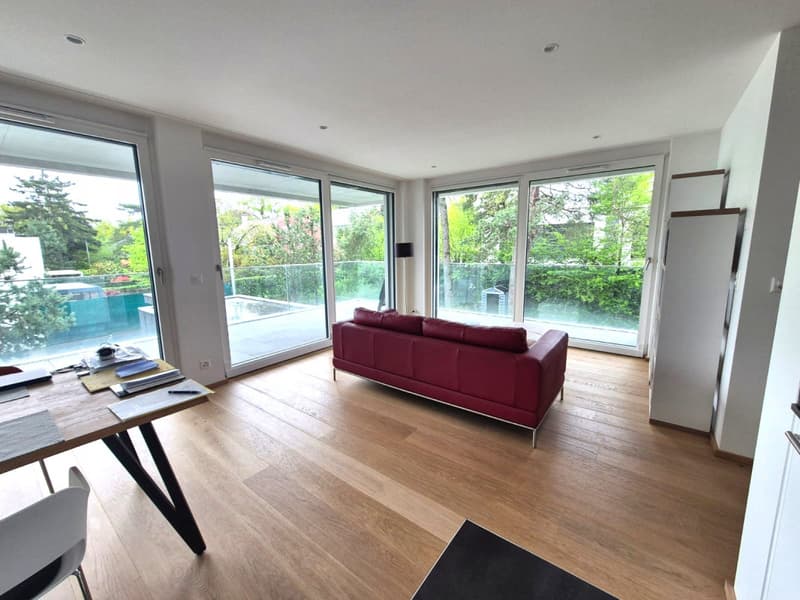 Magnifique 4 pièces neuf avec vaste terrasse zone résidentielle Cologny/Gradelle (1)