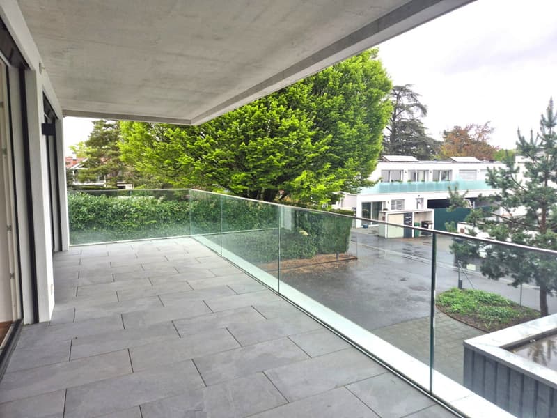 Magnifique 4 pièces neuf avec vaste terrasse zone résidentielle Cologny/Gradelle (7)