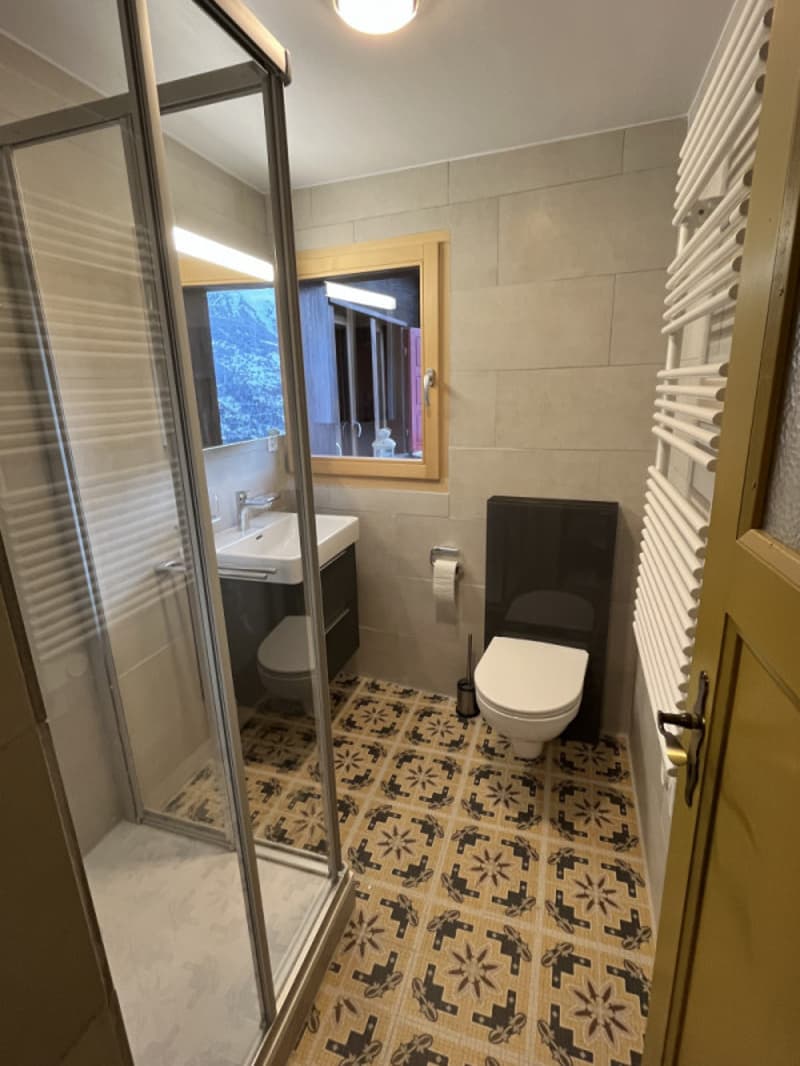 Appartement 3.5 pièces + studio (4)
