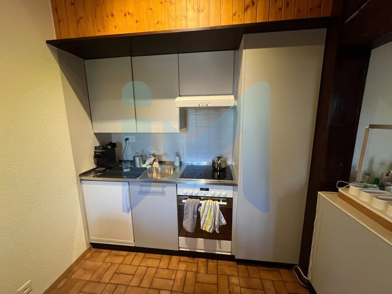 Appartement de 3,5 pièces au 3ème étage sans ascenseur à Genève 1202 (7)