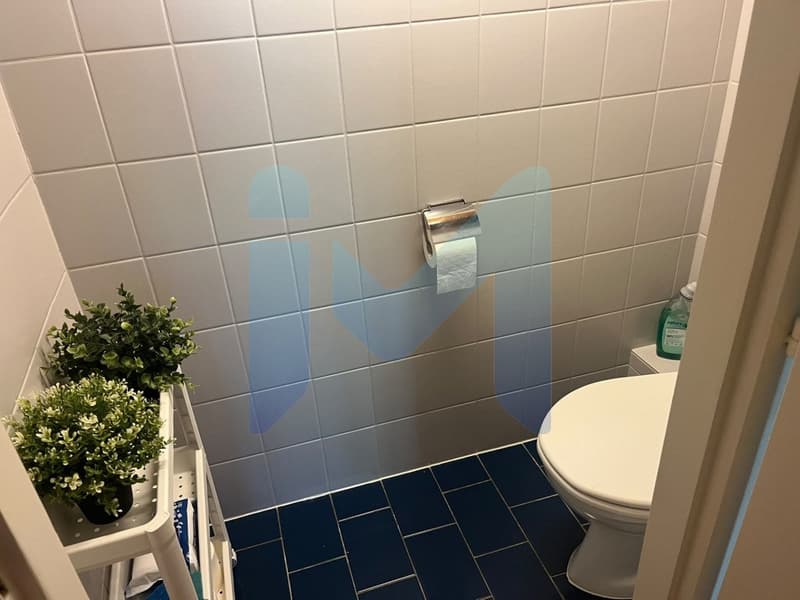 Appartement de 3,5 pièces au 3ème étage sans ascenseur à Genève 1202 (12)
