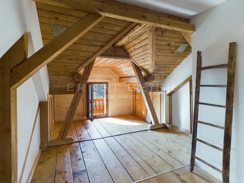 Belle maison de maître entièrement rénovée - 2 appartements (11)