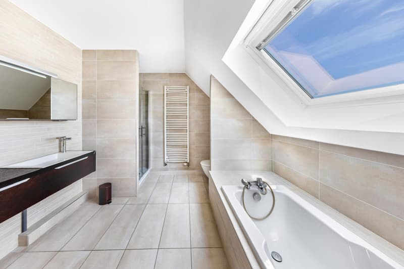 Villa d'exception avec piscine aux portes de Bâle, en France (6)