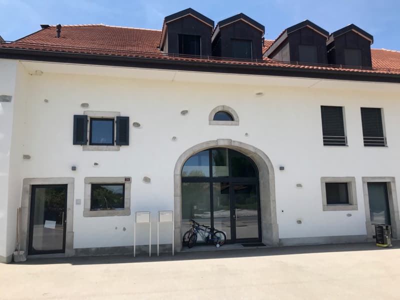 Spacieux duplex de 220m2 dans ancienne ferme rénovée à Essertines sur Rolle (2)