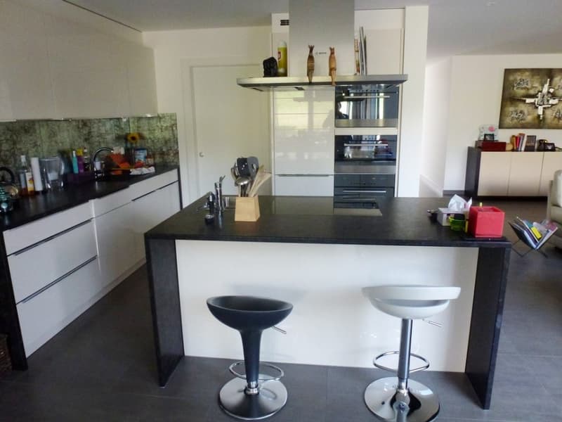 Spacieux duplex de 220m2 dans ancienne ferme rénovée à Essertines sur Rolle (3)