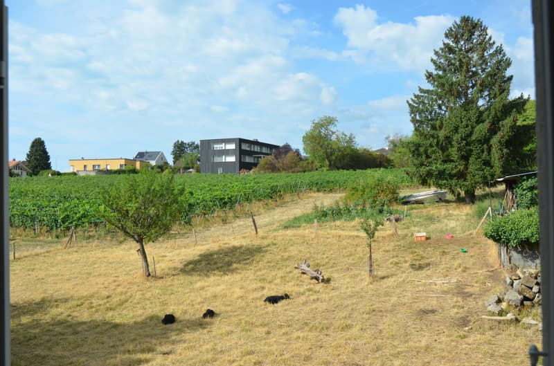 Duplex de 5.5. pièces avec vue (12)