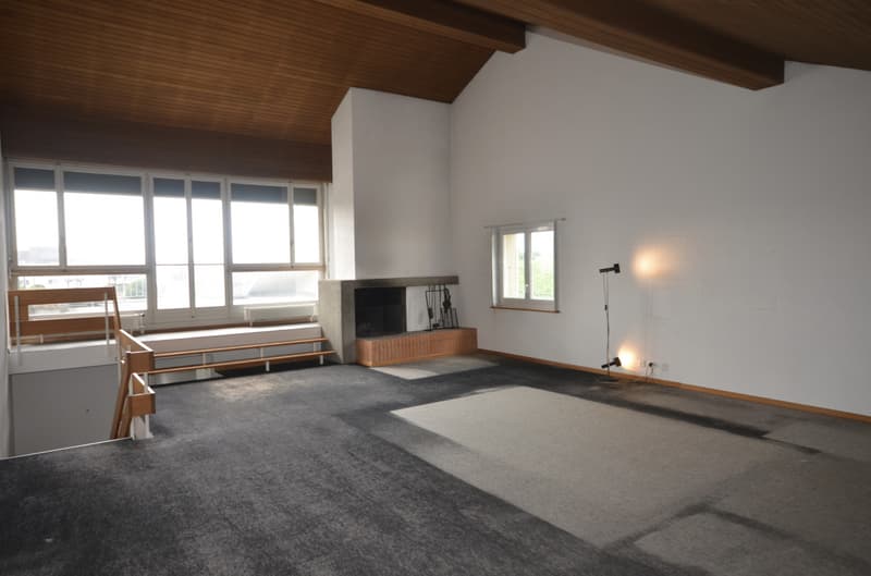 Duplex de 5.5. pièces avec vue (3)