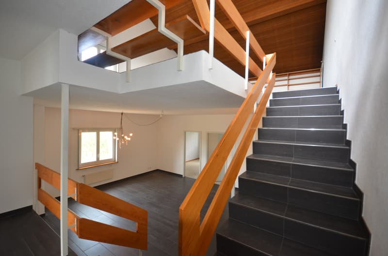 Duplex de 5.5. pièces avec vue (1)