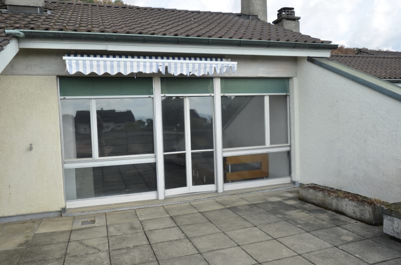 Duplex de 5.5. pièces avec vue (8)