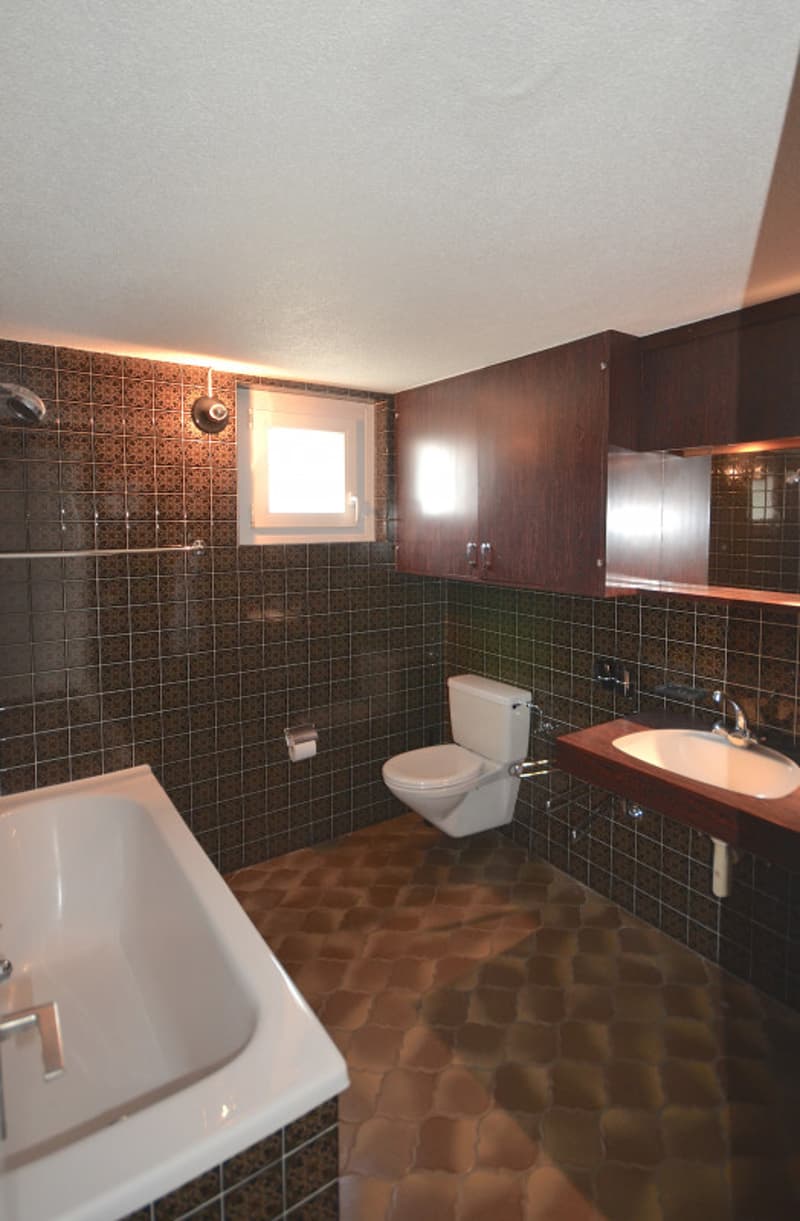 Duplex de 5.5. pièces avec vue (6)